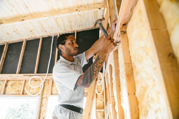 Best Basement Insulation  in Baileys Crossroads, VA